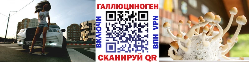 Купить  Вышний Волочёк  Галлюциногенные грибы GOLDEN TEACHER 